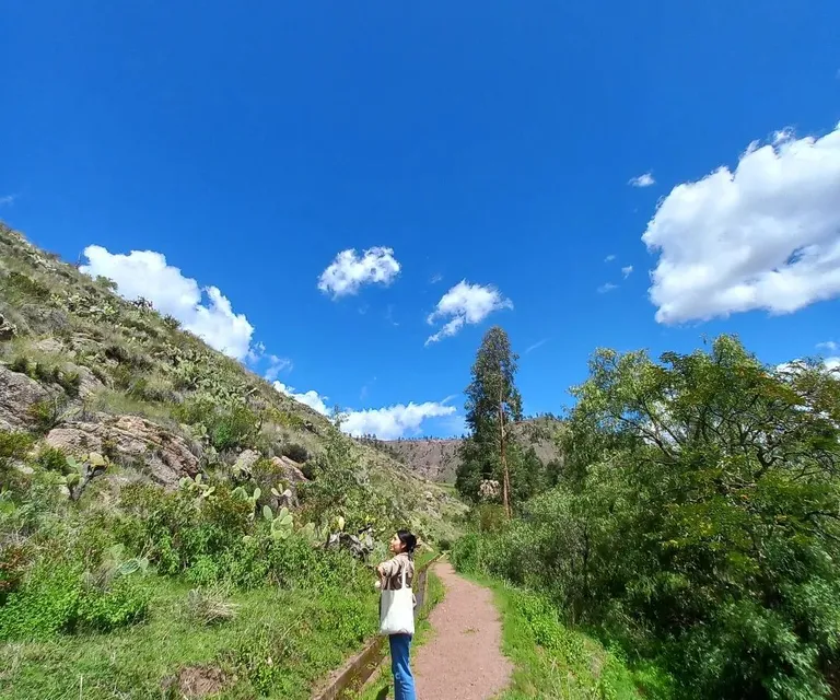 Experience image 6