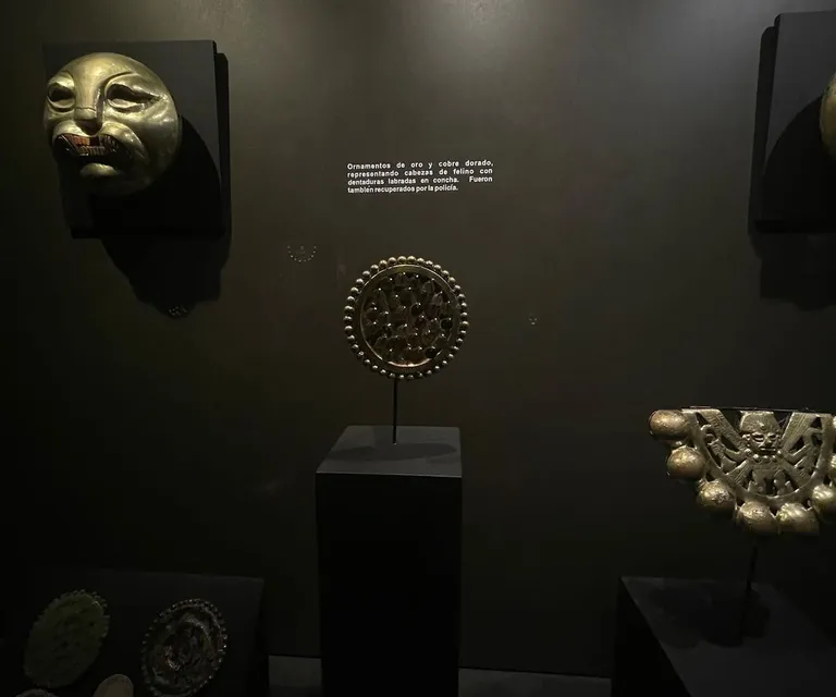 Experience image 4