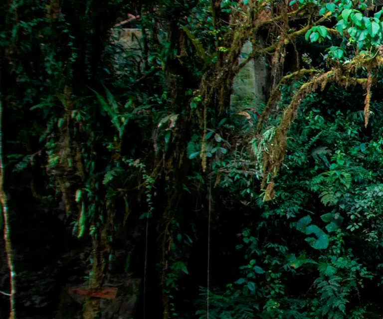 Experience image 6