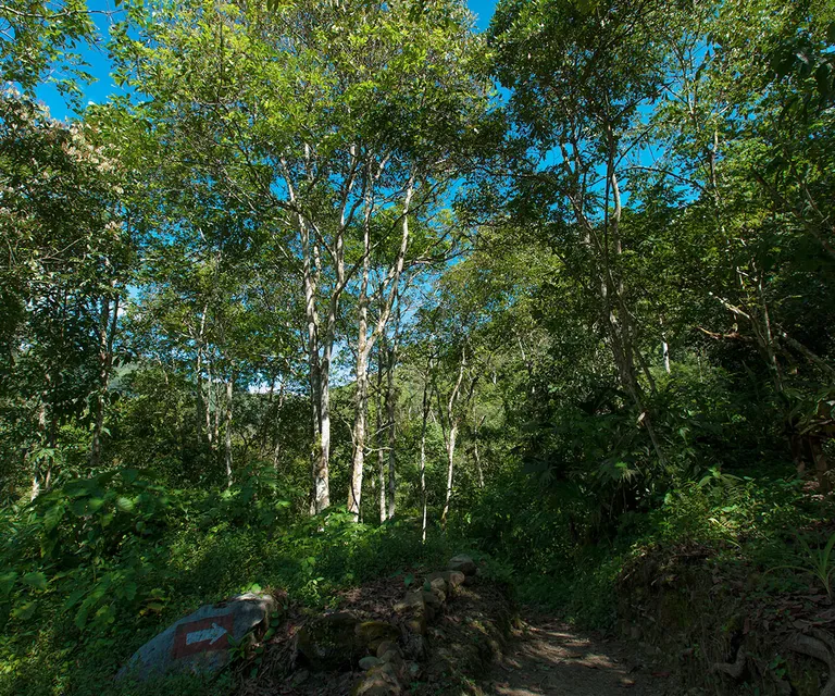 Experience image 9