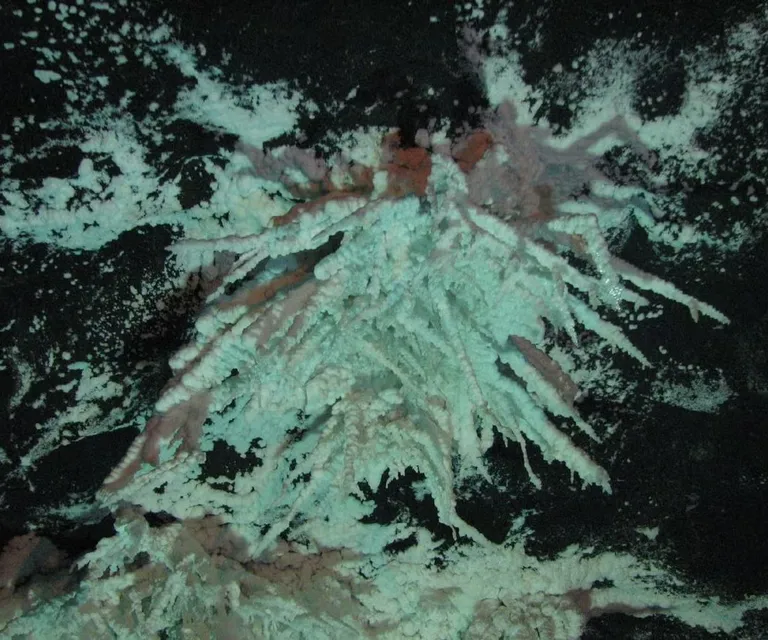 Experience image 8