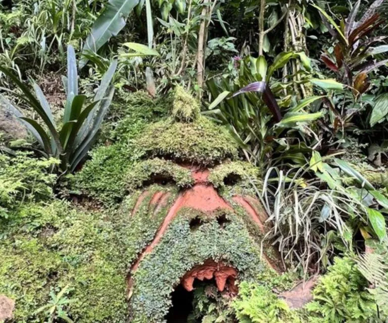 Experience image 1