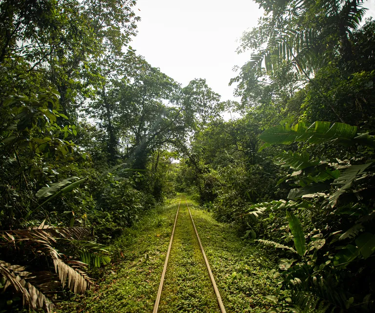 Experience image 3