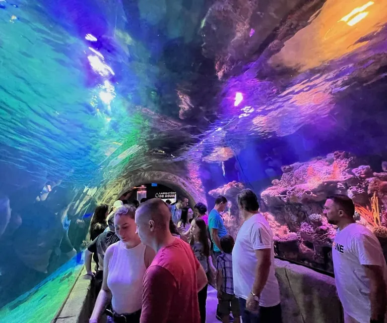 Experience image 2