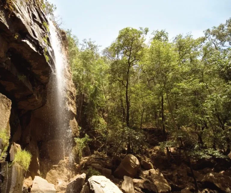 Experience image 10
