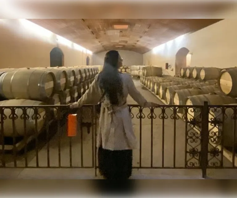Experience image 12
