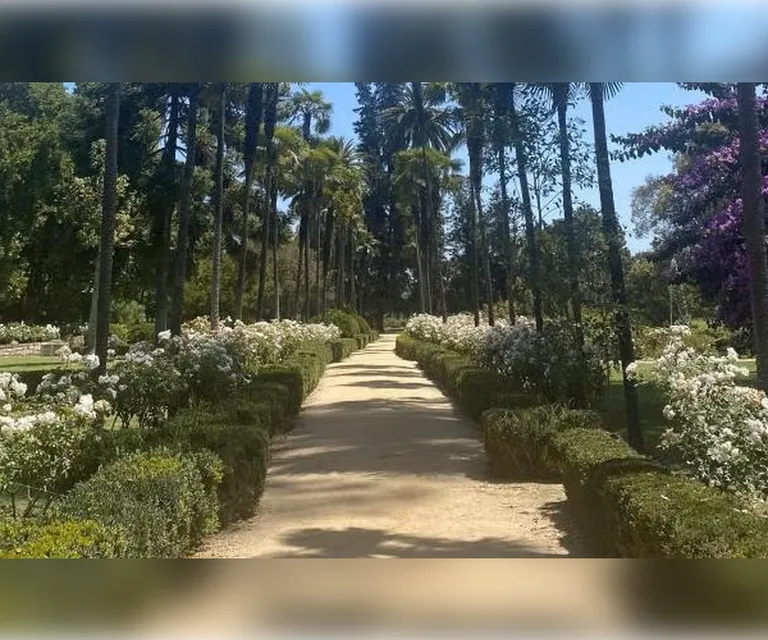 Experience image 20