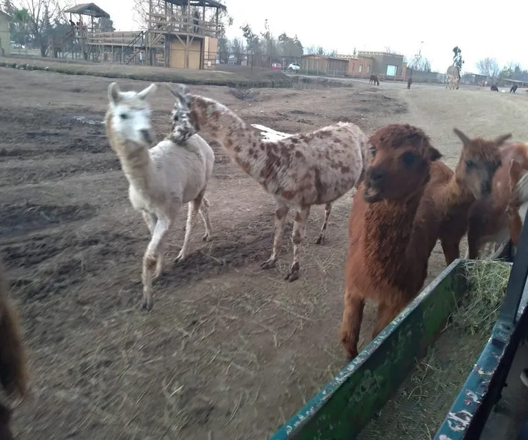 Experience image 26