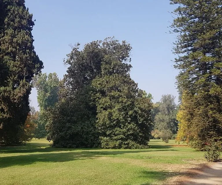 Experience image 15