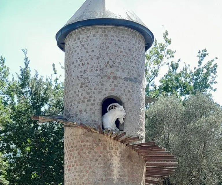 Experience image 39