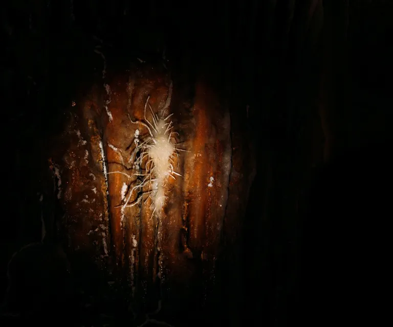 Experience image 12