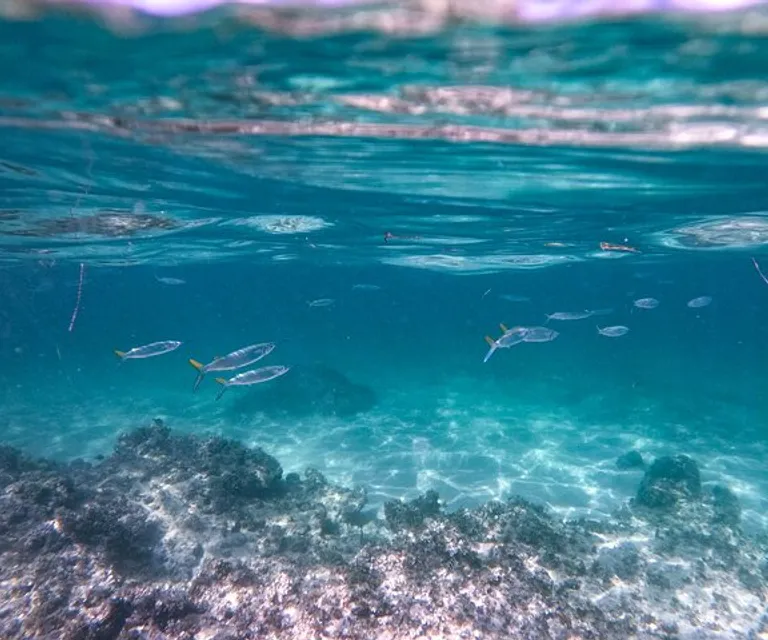 Experience image 6