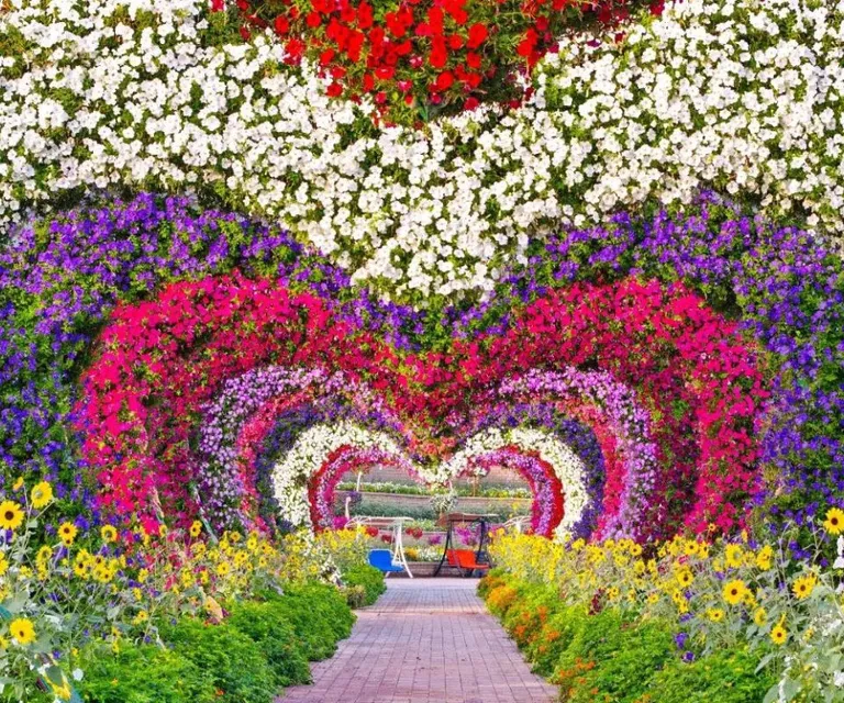 Experience image 1