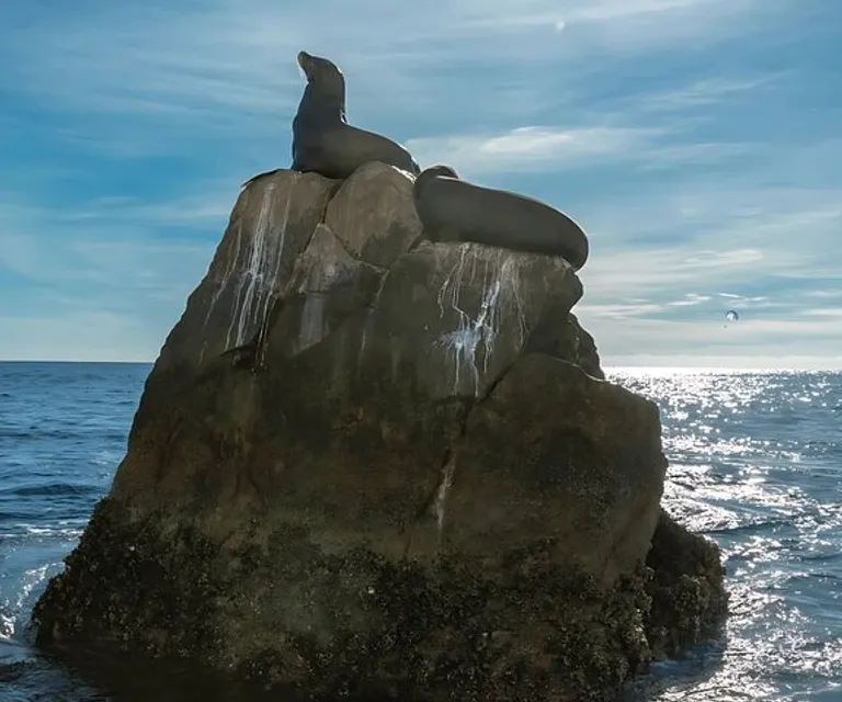 Experience image 7