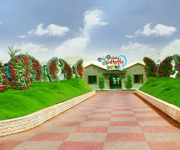 Experience image 6