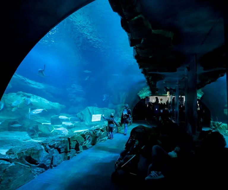 Experience image 15