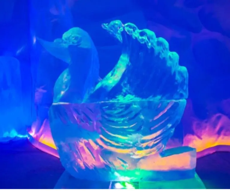 Experience image 4