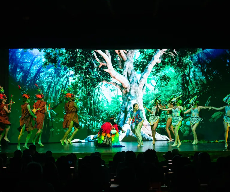 Experience image 7