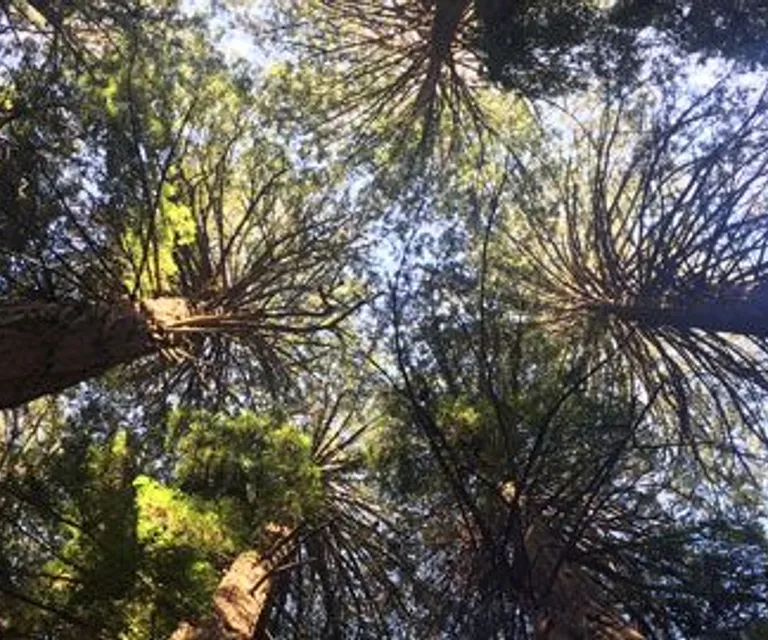 Experience image 1