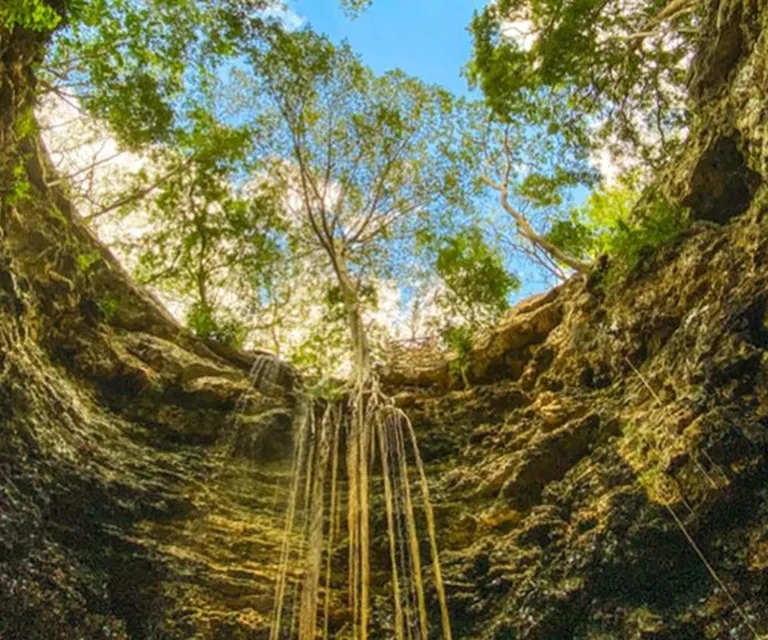 Experience image 11