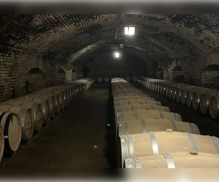 Experience image 3