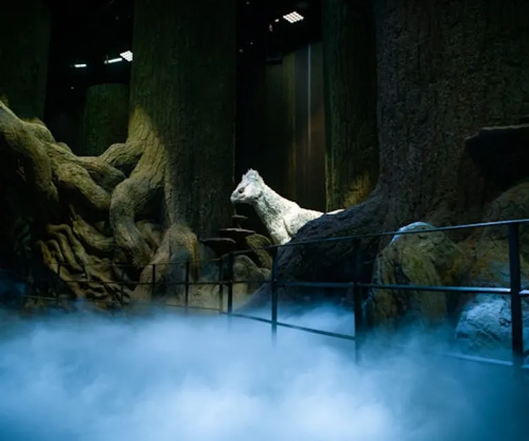 Experience image 16