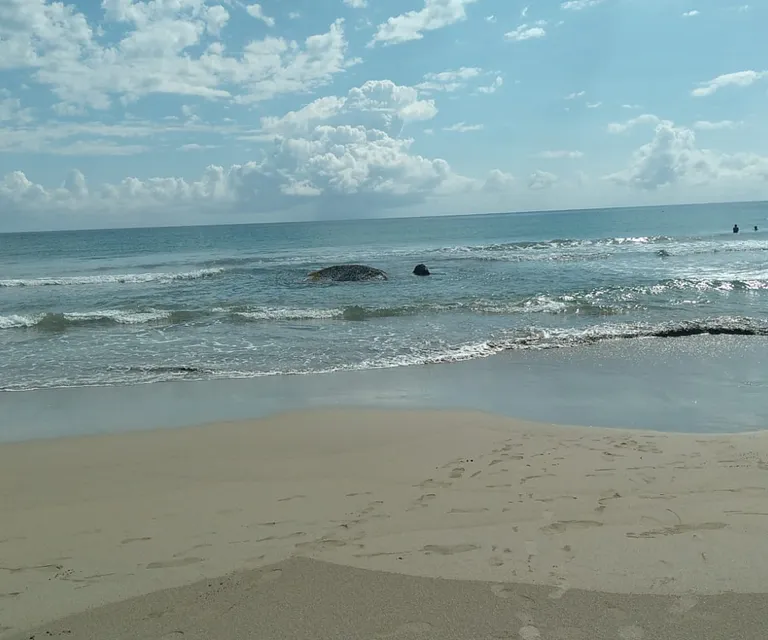 iFriend image 3