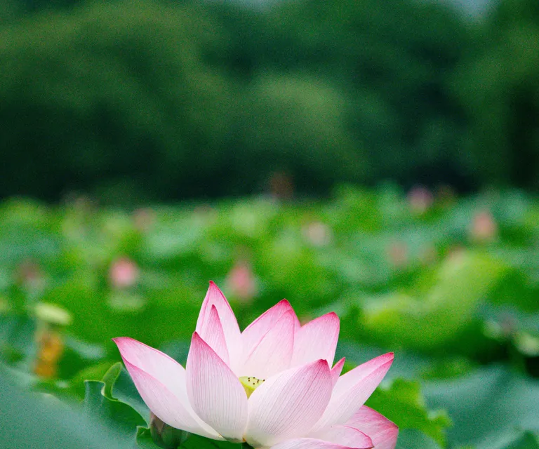 iFriend image 4