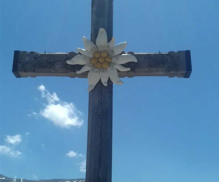 iFriend image 2