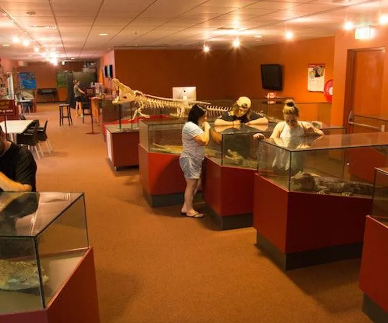 Experience image 6
