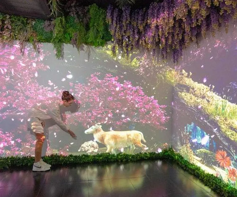 Experience image 1