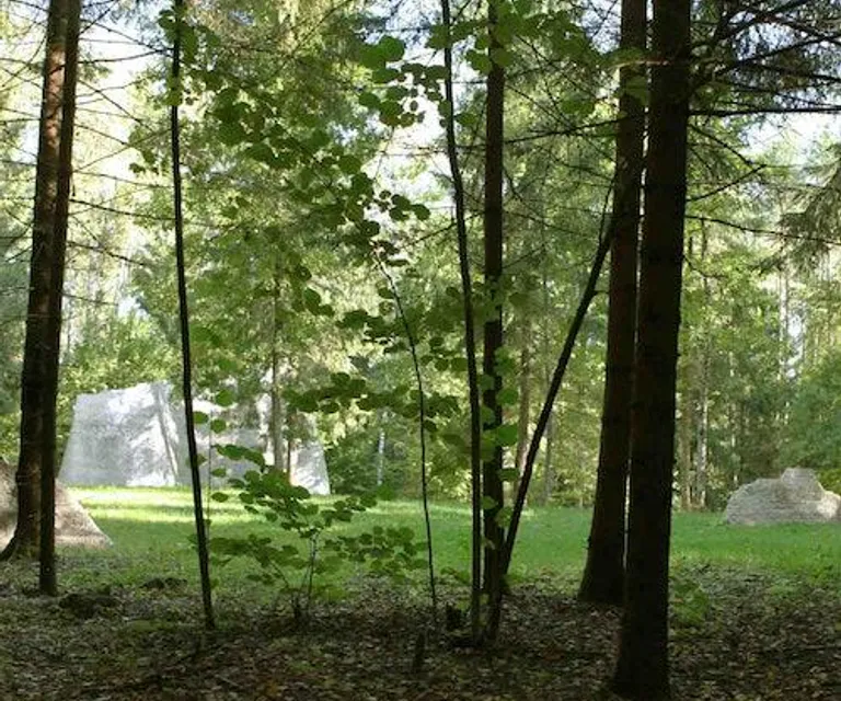 Experience image 4