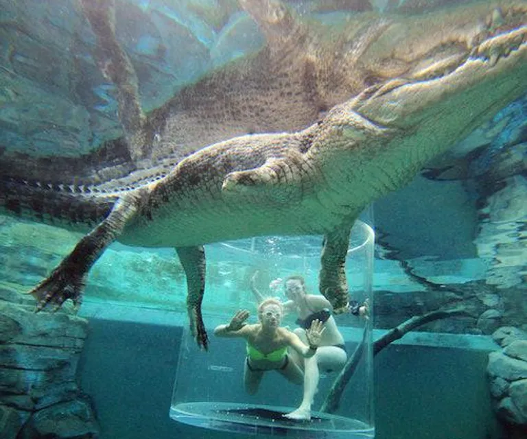 Experience image 1