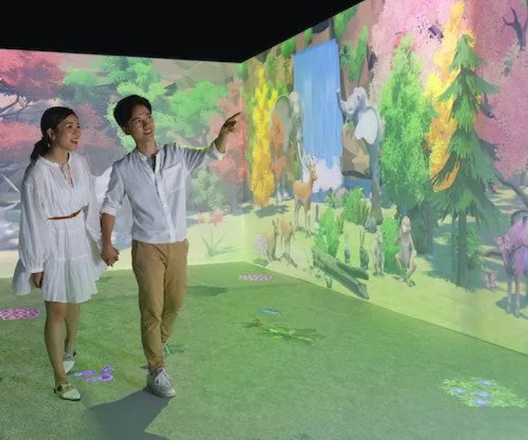 Experience image 16