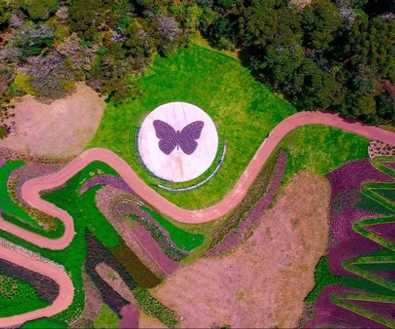 Experience image 1