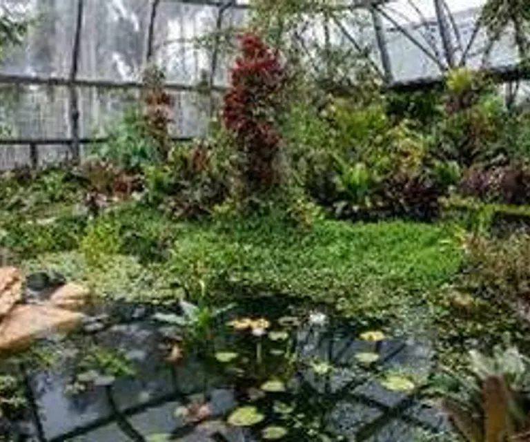 Experience image 1