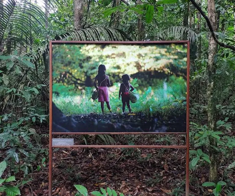 Experience image 2