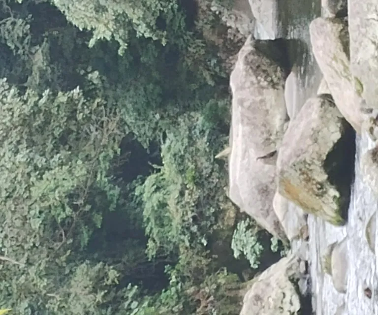 Experience image 4