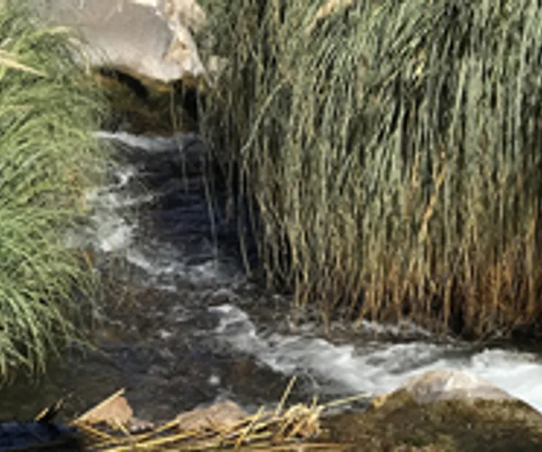 Experience image 3