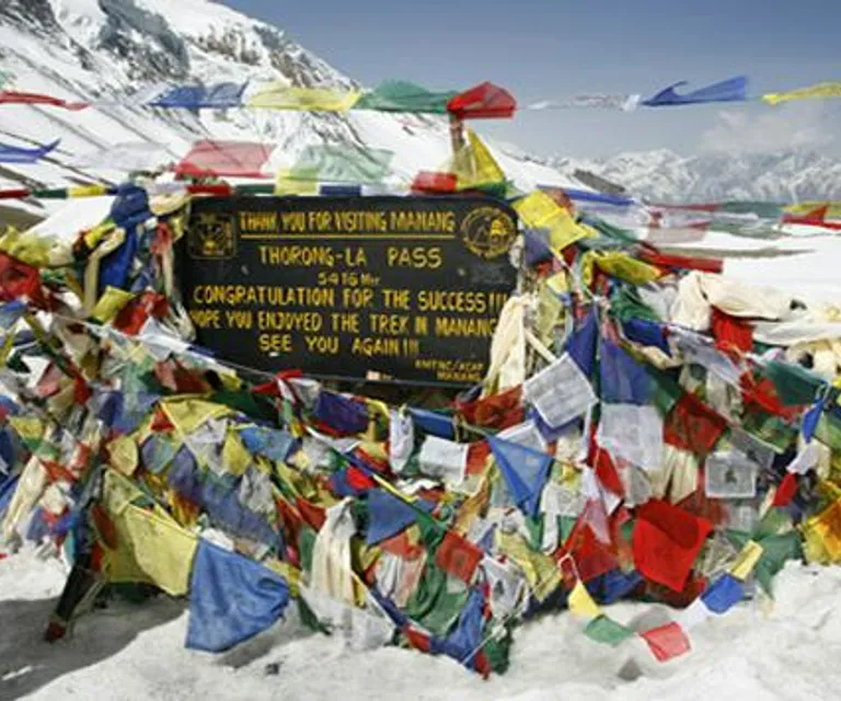 iFriend image 2