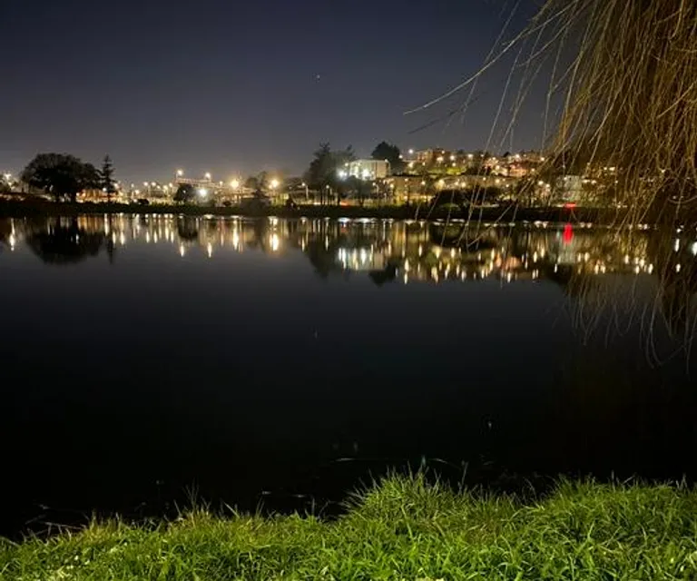 iFriend image 3