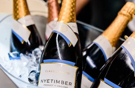 Brighton Ticket Brighton i360: experiência com vinho espumante