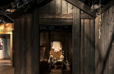 Estocolmo Ticket Museu dos Vikings: bilhete de entrada