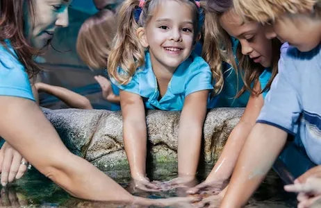 Mánchester Ticket SEA LIFE Manchester: bilhete de entrada