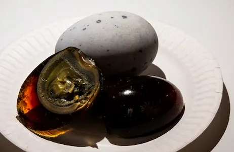 Malmö Ticket Nojento Food Museum: bilhete de entrada