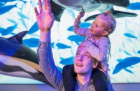 Reikiavik Ticket Whales of Iceland: bilhete de entrada