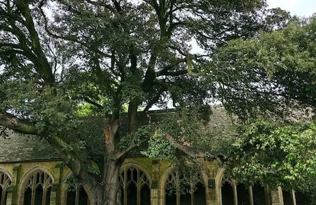 Oxford Ticket Oxford Harry Potter Film Locais de Locais para Caminhadas