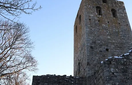 Stockholm Ticket Viking Tour e Sigtuna Visit saindo de Estocolmo