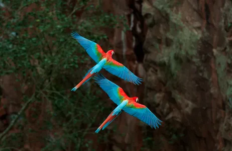 Bonito Tour Buraco das Araras without transportation - contemplation