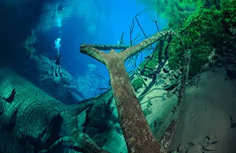 Bonito Tour Diving in the Mysterious Lagoon in Bonito (Transportation not included)